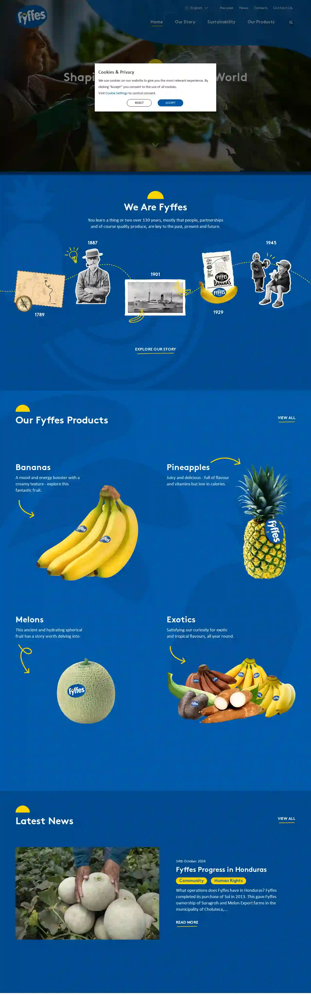 Fyffes Group Ltd Basingstoke