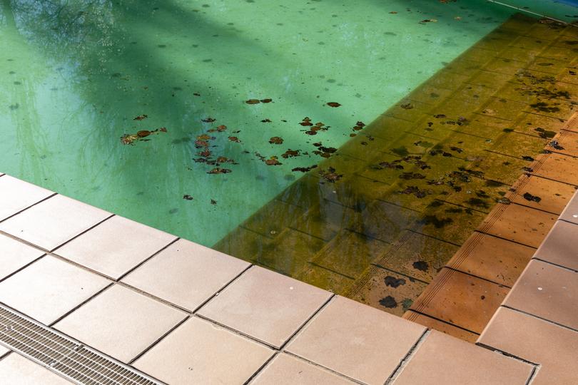 Pool being removed from a backyard